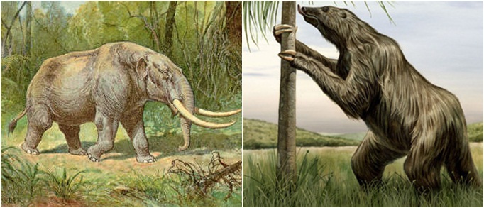 Resultado de imagem para mastodonte brasileiro