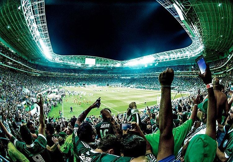 Jogadores do Palmeiras pedem ajuda da torcida na Libertadores | Folha